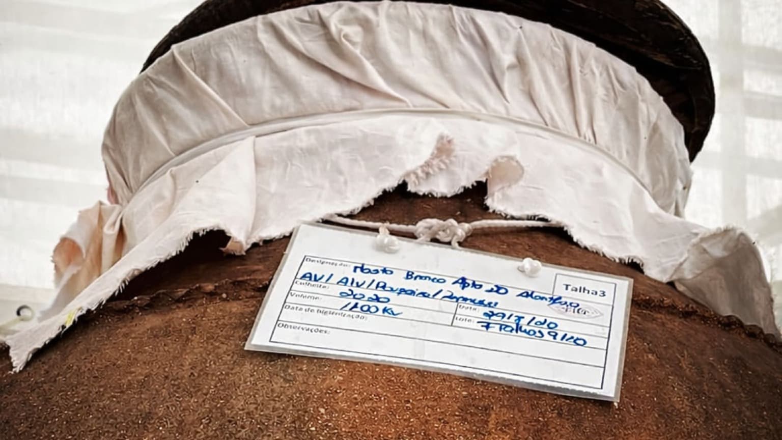 Close-up of a labeled clay amphora used for vinho de talha in Vidigueira