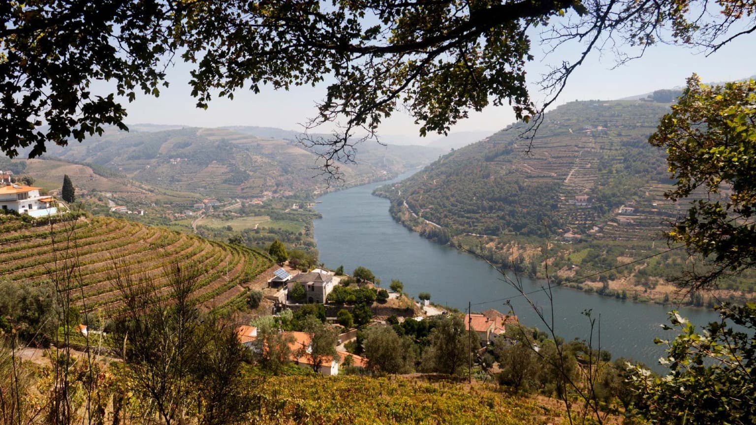 Viñedos en terrazas y el río Duero vistos desde un mirador en una colina del norte de Portugal.