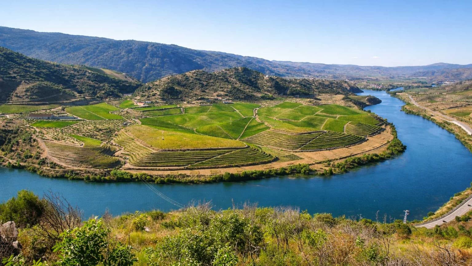 Quinta do Vale Meão no Vale do Douro, historicamente propriedade de Dona Antónia Adelaide Ferreira, com vista para o rio Douro