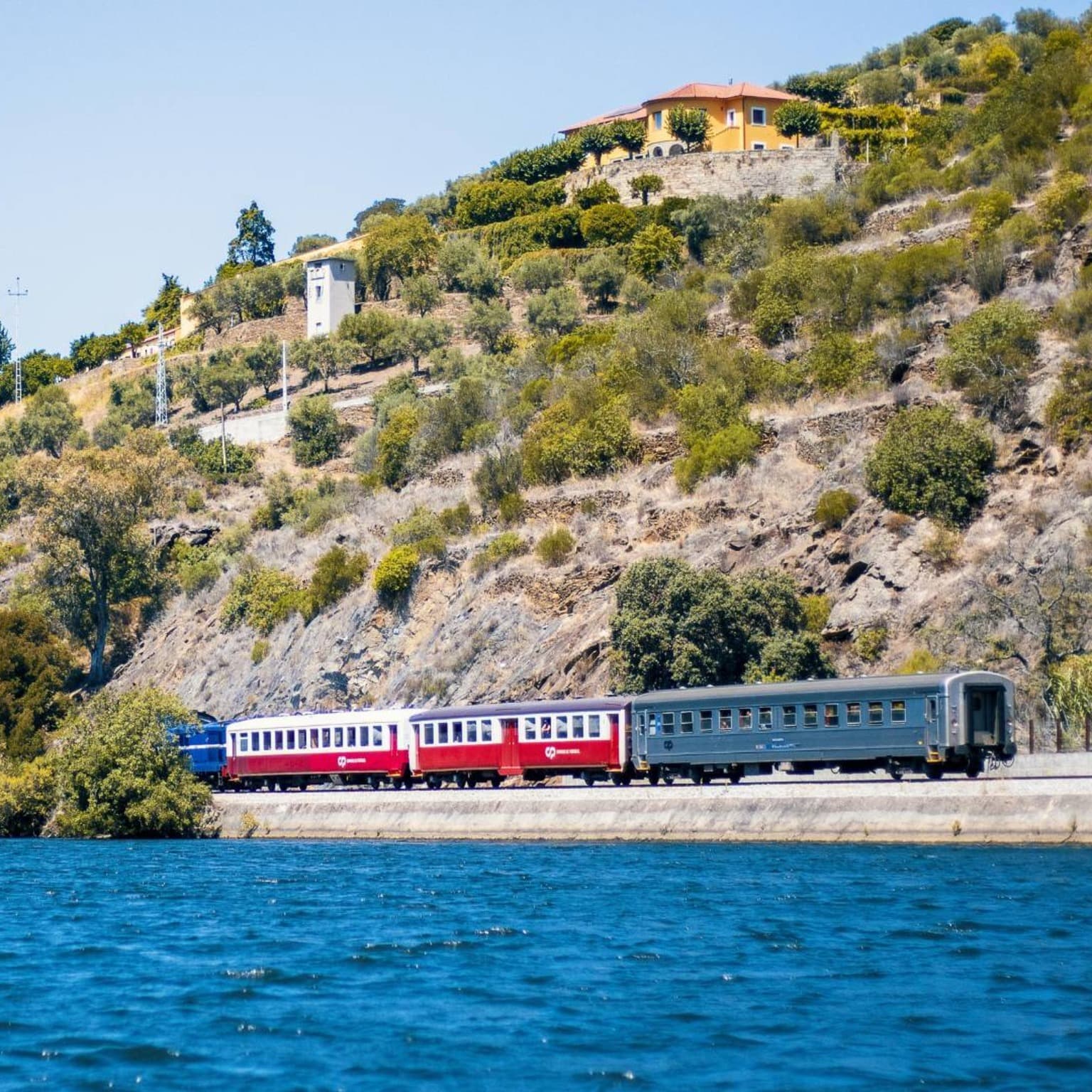 Douro a Partir do Porto: Qual é Melhor – Excursão Guiada ou Comboio?