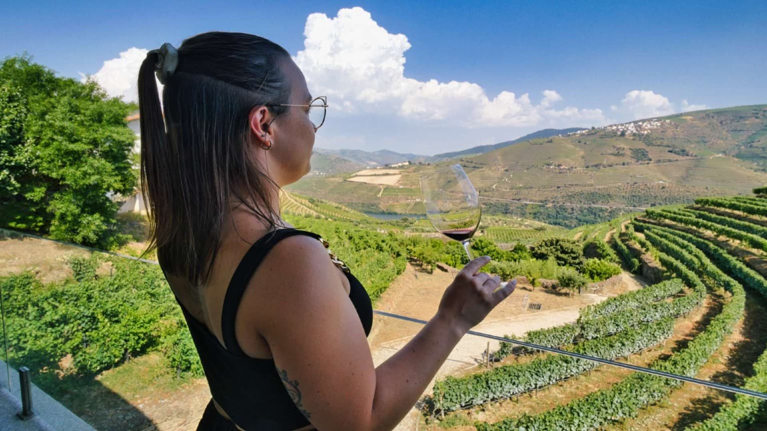 Experiência de degustação de vinhos no Vale do Douro com vista para as vinhas durante uma visita guiada a partir do Porto