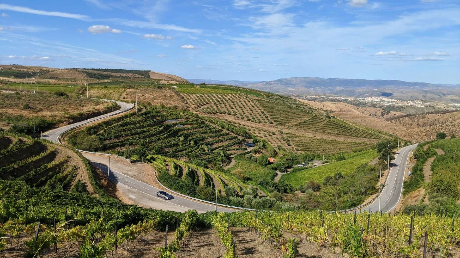 Región vinícola del valle del Duero, en el norte de Portugal, con viñedos en terrazas y colinas onduladas
