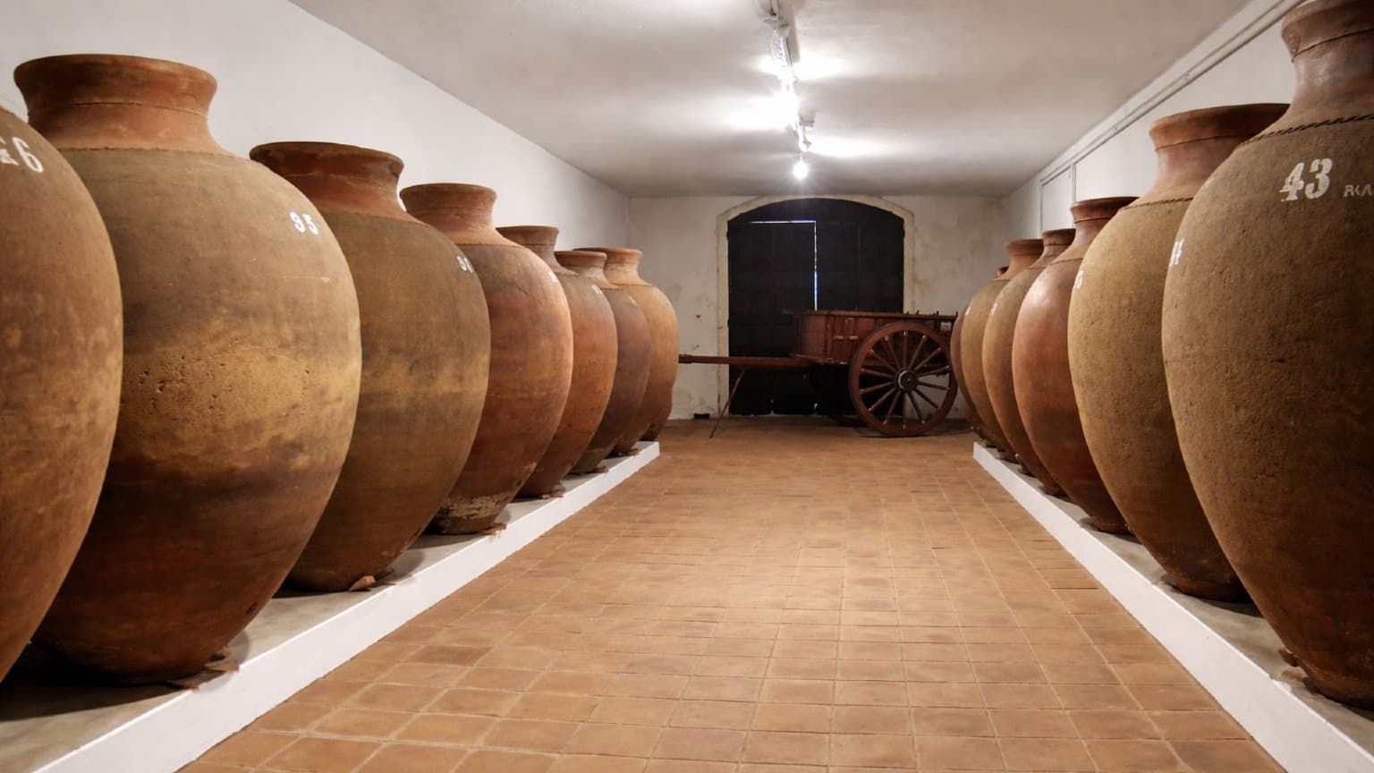 La cave historique d'Adega José de Sousa, l'un des producteurs de vinho de talha les plus emblématiques de l'Alentejo