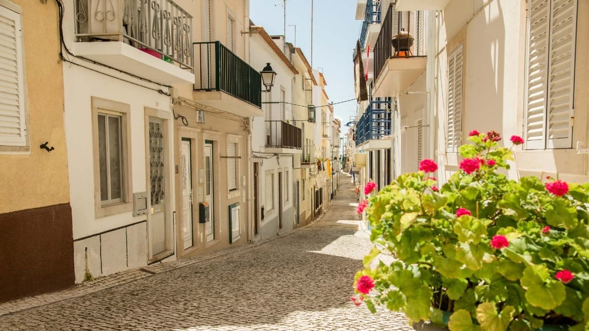 pyEy nazare whitewashed street flower balcony
