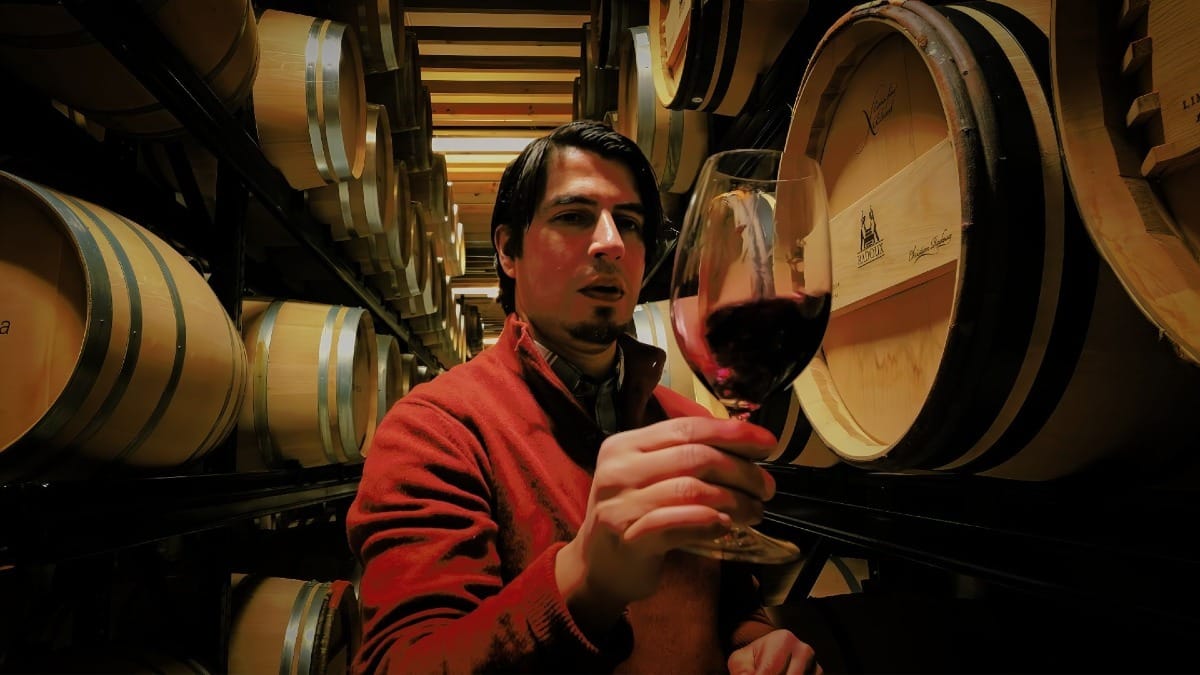 Meet the winemakers and Douro Valley families during our Private Premium Douro Valley Wine Tour | Cooltour Oporto