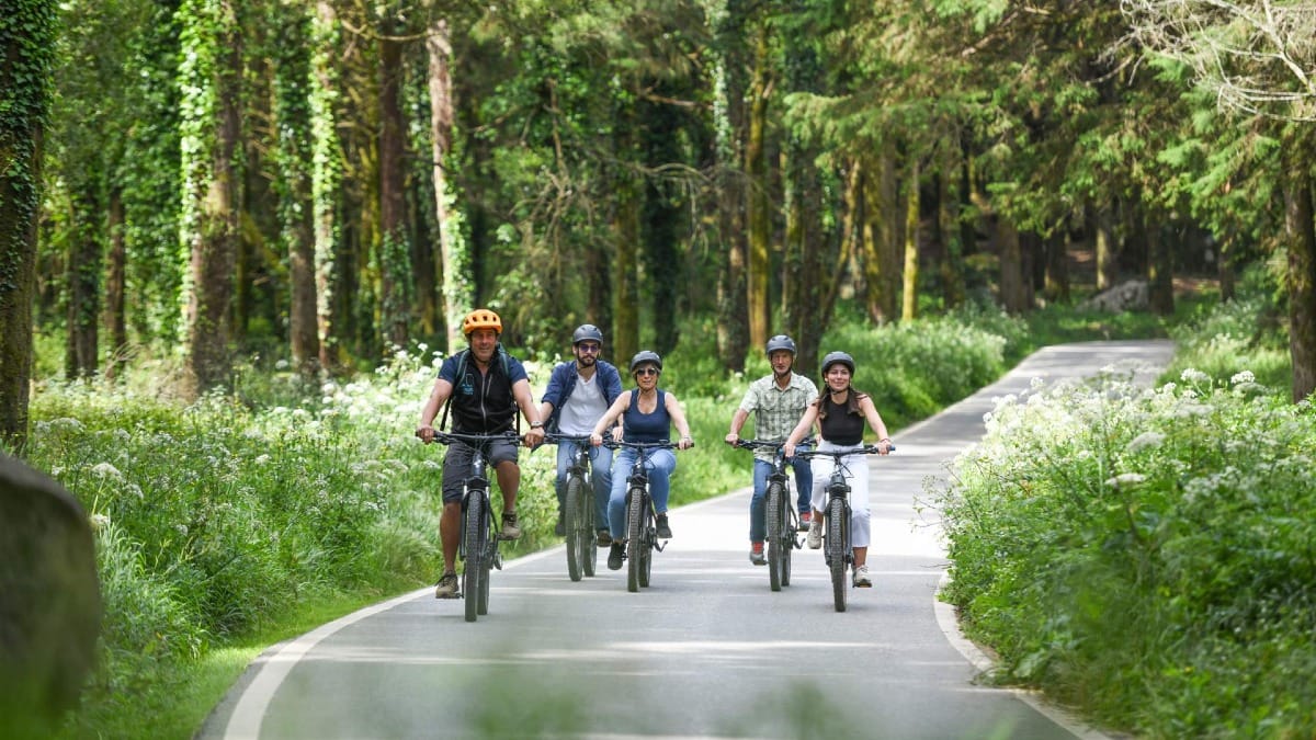 Riding through the magical forests of Sintra during the guided e-bike tour