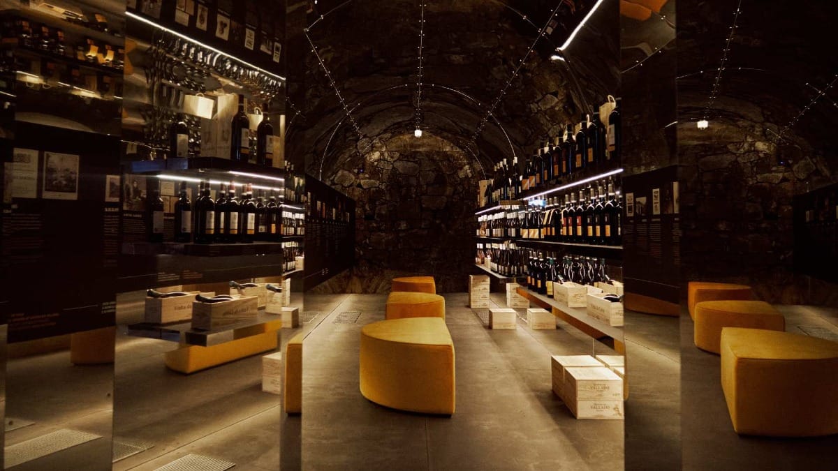 Intérieur moderne de la boutique de vins avec fauteuils jaunes et étagères de bouteilles Vallado
