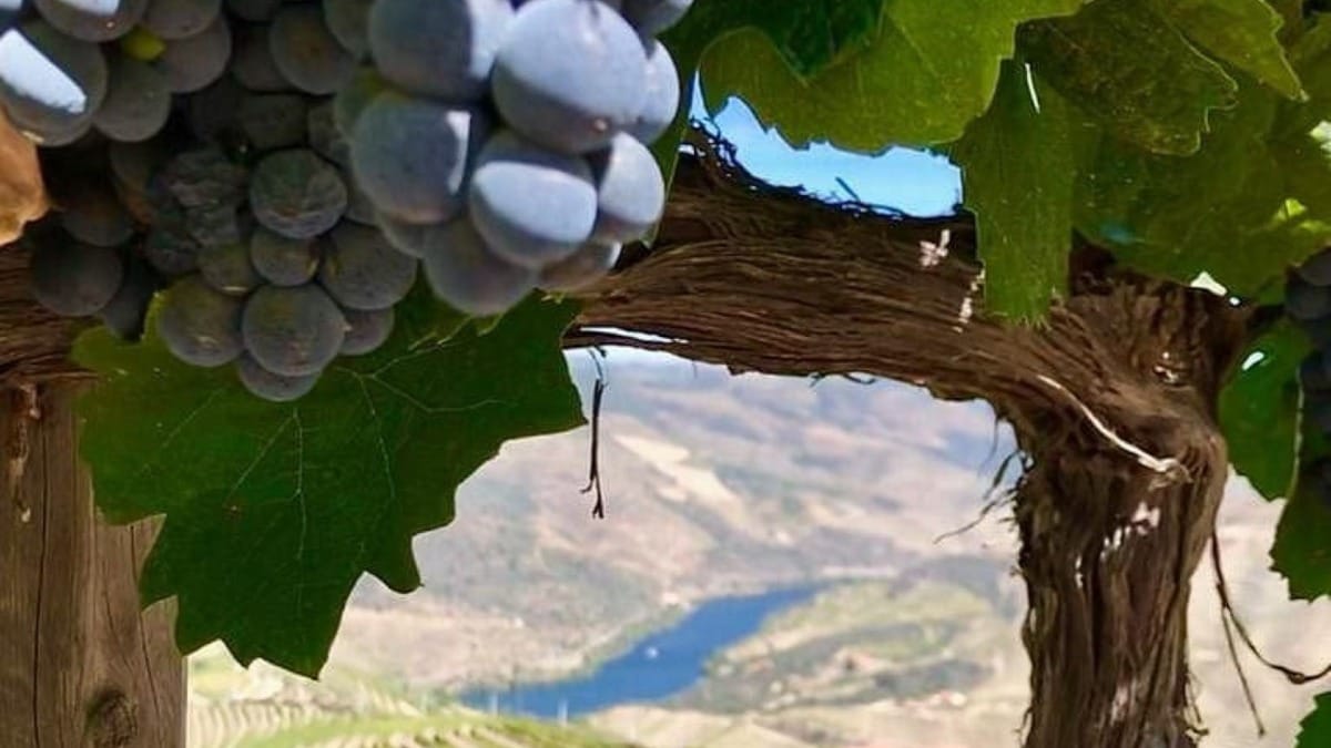 rrMx village hike douro river panorama