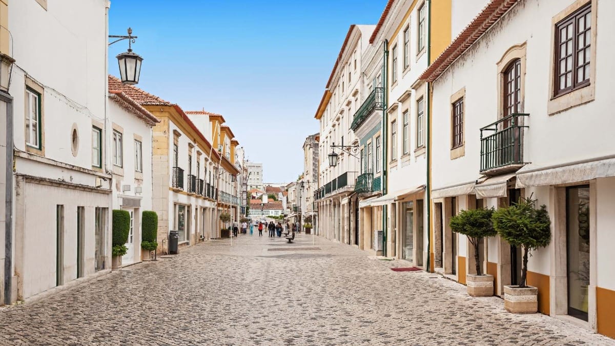 sQ77 private tomar walking tour historic street tomar city