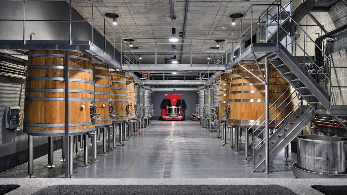 Caminata con Visita a Bodega y Almuerzo en Ervedosa por el Valle del Duero