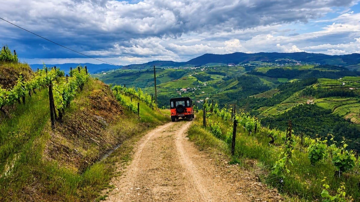 Explore hidden corners of the Douro Valley beyond the main winery buildings