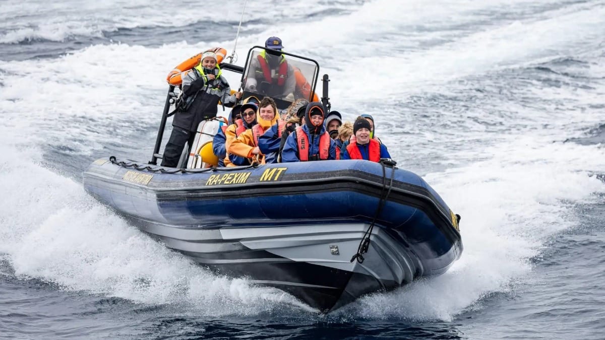 Explore the open ocean on a zodiac boat, designed for close encounters with marine life
