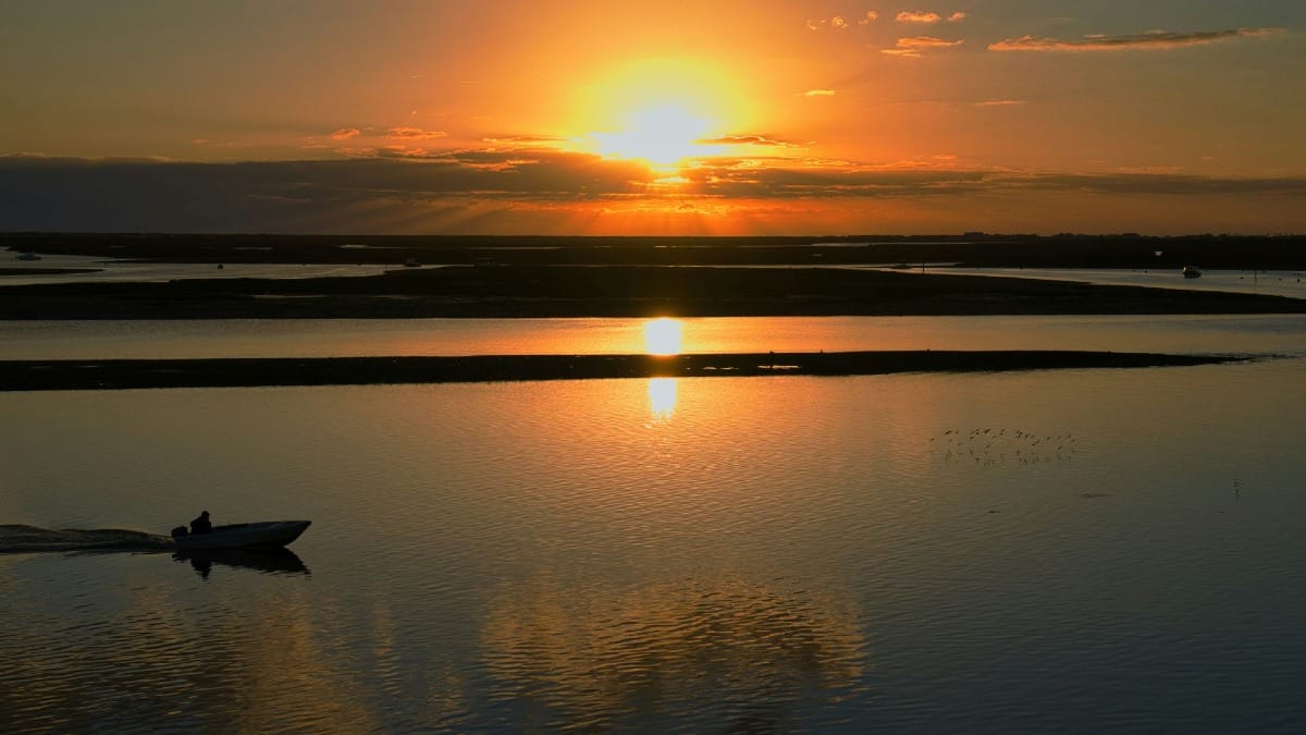 tfhp sunset boat tour ria formosa natural reserve faro