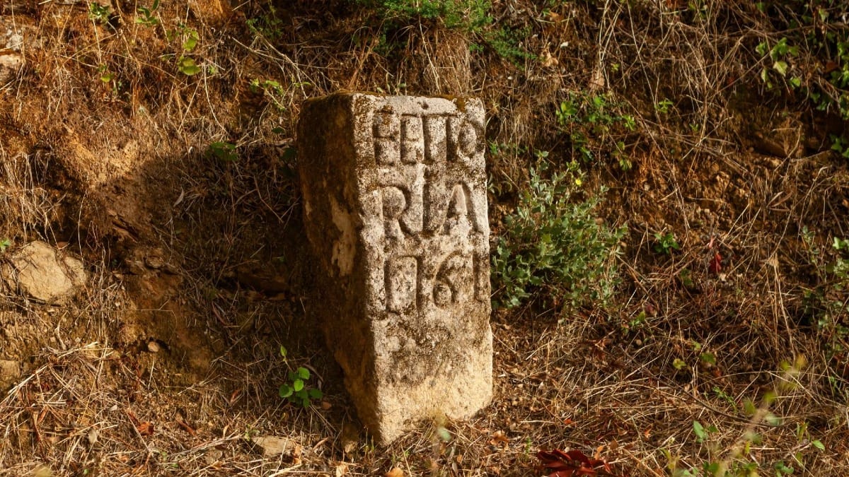 Discover details that reveal the history and heritage of the estate