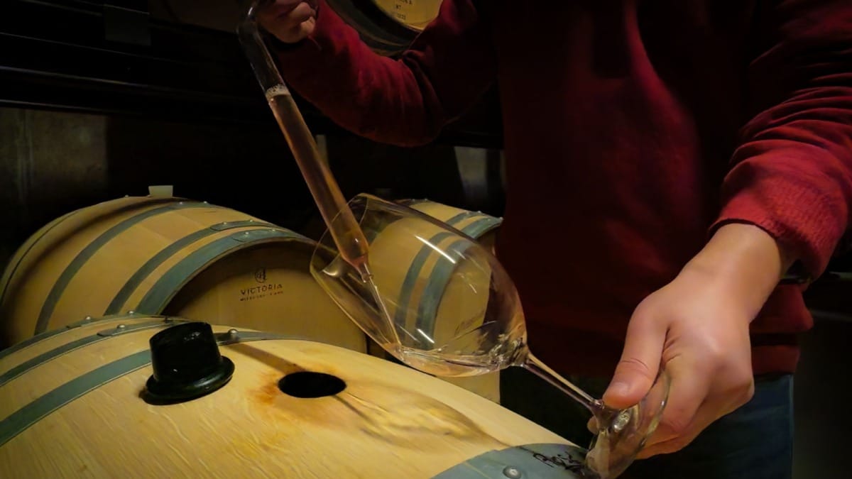 Œnologue testant un vin blanc DOC Douro lors d'une visite guidée dans la Vallée du Douro au départ de Porto avec Cooltour Oporto