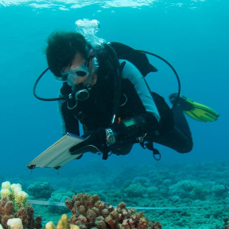 Collaboration with marine research and conservation initiatives