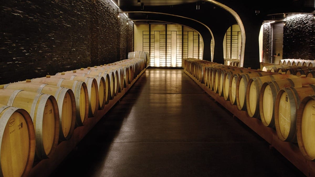 vyww guided winery tour douro valley hike tour