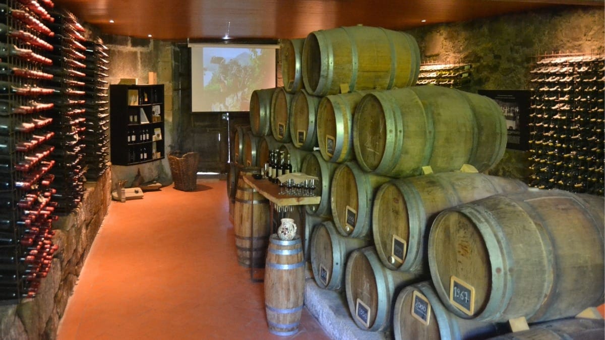 Experiência de prova numa cave de vinhos no Vale do Douro