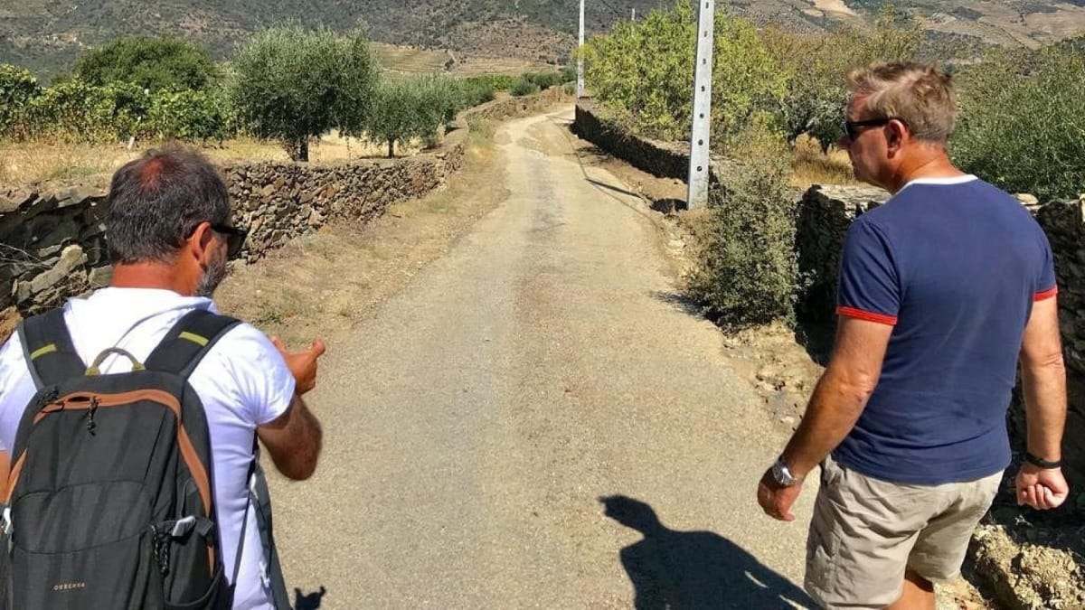 yXCm vineayrd paths walk douro valley
