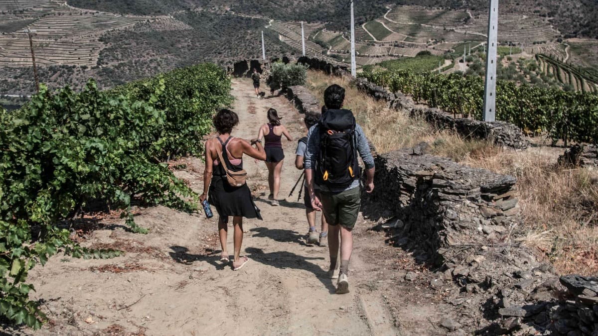 Douro Valley Village Walk & Picnic Lunch: Ervedosa do Douro
