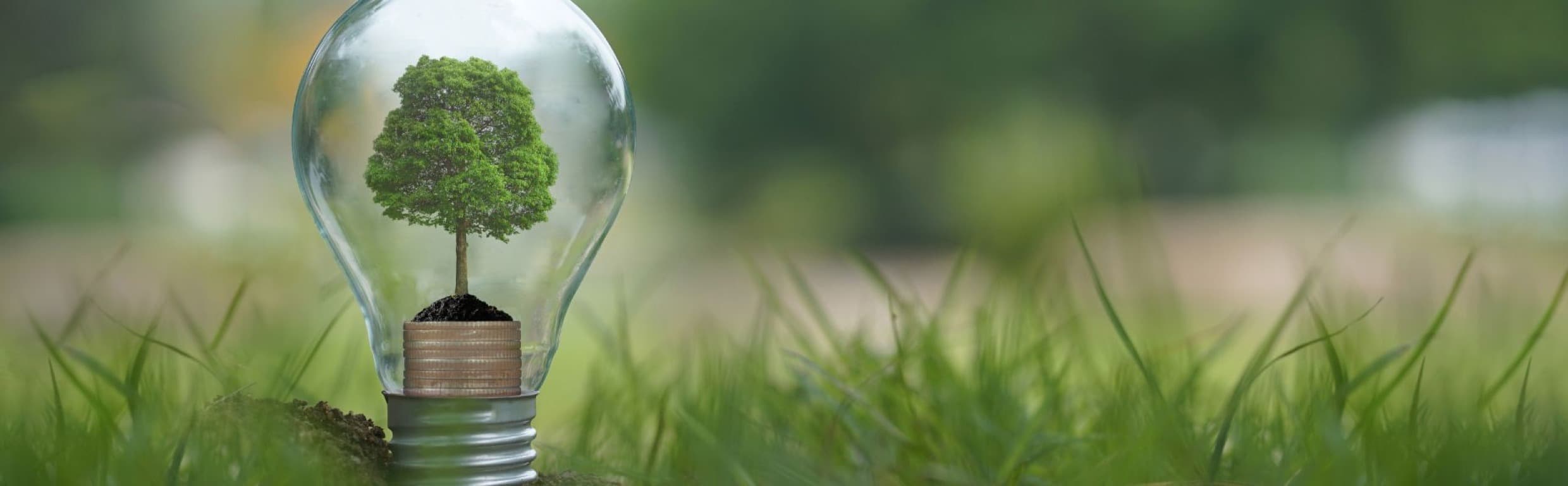 zqVm 01HQRNKXVWM38J2FXMWC78M4PJ